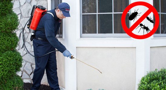 Yahyalı Bit İlaçlama böcek ilaçlama ve haşere kontrolü — ilaclama-tr.com